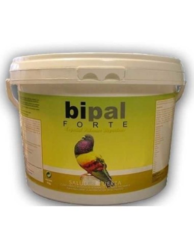 BIPAL FORTE DEPORTIVOS - 2