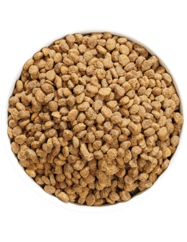 OWNAT AUTHOR CAT FRESH OILY FISH & POULTRY 1 5 KG 3 KG