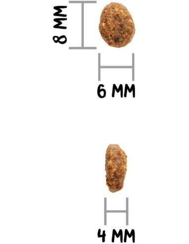 OWNAT AUTHOR CAT FRESH OILY FISH & POULTRY 1 5 KG 3 KG