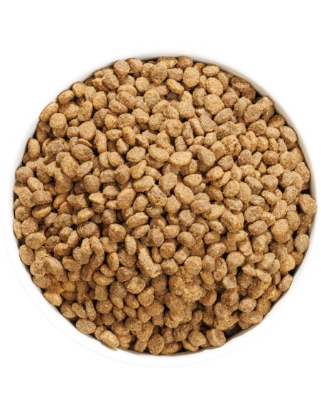 OWNAT AUTHOR CAT STERILIZED FRESH CHICKEN 1 5 KG 3 KG