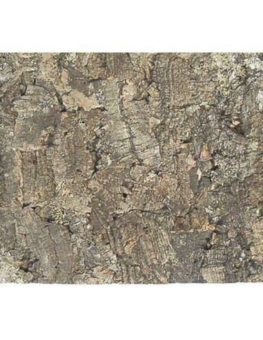 DRAGON TERRARISTIK PLACA DE CORCHO NATURAL 30X60 CM DESERT FOREST - 2