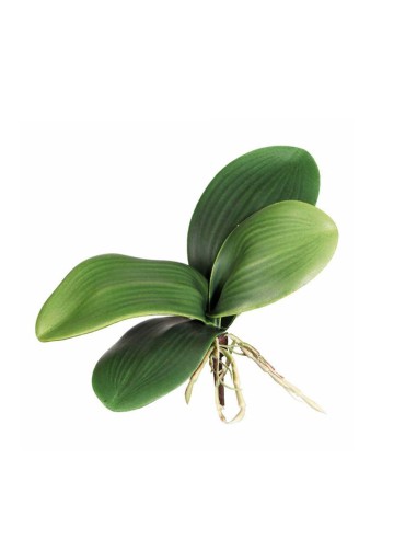 DRAGON TERRARISTIK ORQUÍDEA PARA TERRARIOS Y/O PALUDARIOS 15 CM (5 HOJAS) 20 CM (4 HOJAS) - 2