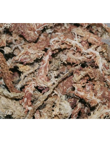 DRAGON TERRARISTIK SUSTRATO NATURAL SPHAGNUM-MOOS 5 L - 4