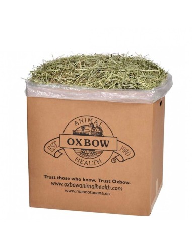 OXBOW HENO DE HUERTO ORCHARD GRASS 425 GR 1 13 KG 4 08 KG 11 34 KG 22 68 KG - 4