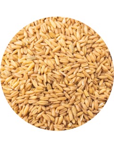 PET CUP AVENA PELADA - 850 GR 850 GR