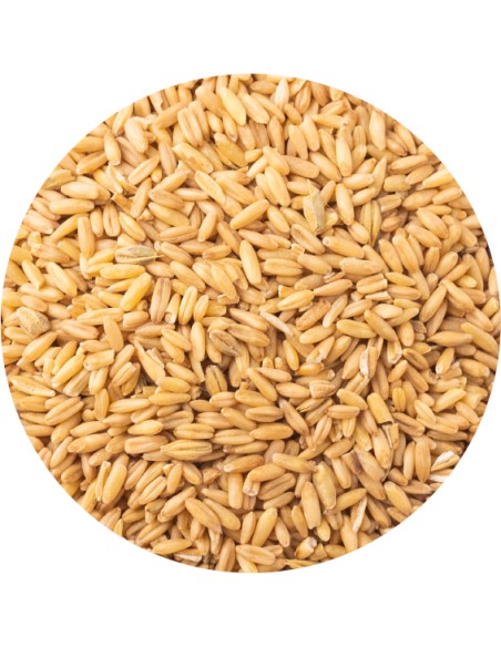 PET CUP AVENA PELADA - 850 GR 850 GR