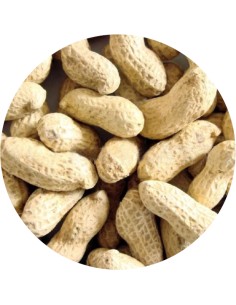 PET CUP CACAHUETE CON CASCARA - 1,5 KG 1 5 KG