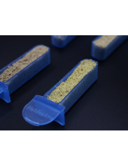 MOLDES AVE SEMILLERO 