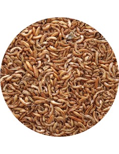 PET CUP GAMMARUS 100 GR 30 GR 2