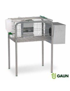 GAUN JAULA CONEJOS LIMA CRÍA 1 - 2