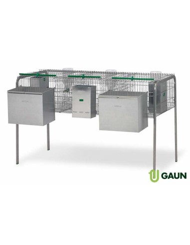 GAUN JAULA CONEJOS LIMA I