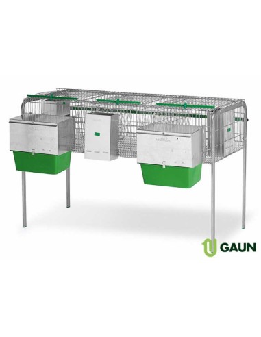 GAUN JAULA CONEJOS LIMA II