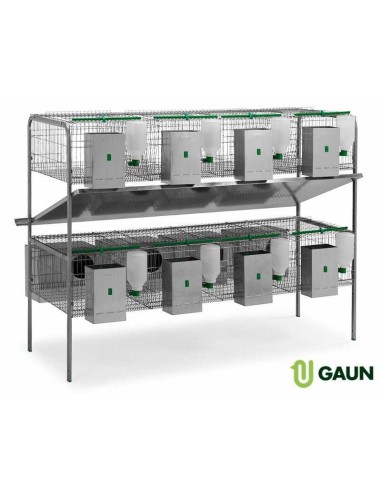 GAUN JAULA CONEJOS EXTREMADURA