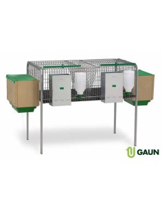 GAUN JAULA CONEJOS LAGUNA