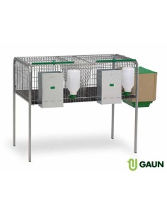 GAUN JAULA CONEJOS GANDÍA 2 - 2