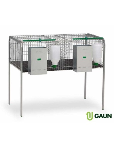 GAUN JAULA CONEJOS BARACALDO 2 - 2