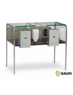 GAUN JAULA CONEJOS SILLEDA 2 - 2