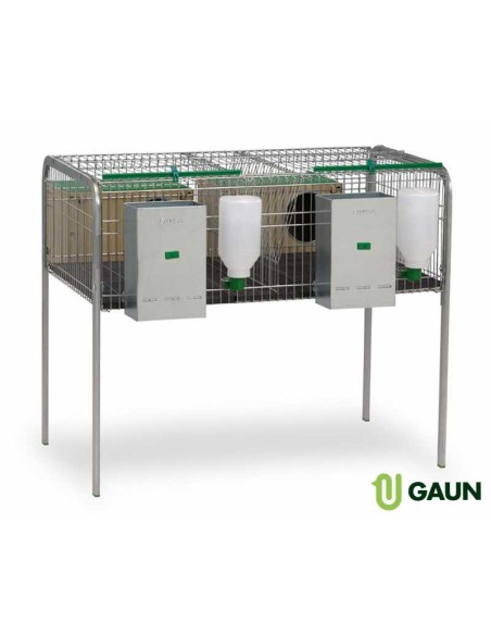 GAUN JAULA CONEJOS SILLEDA 2 - 2