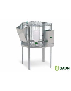 GAUN CILINDRO OCTOGONAL PARA MACHOS