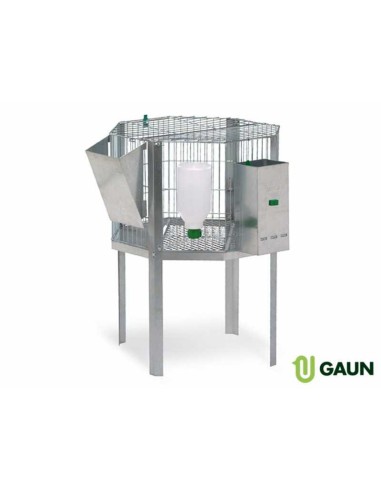 GAUN CILINDRO OCTOGONAL PARA MACHOS