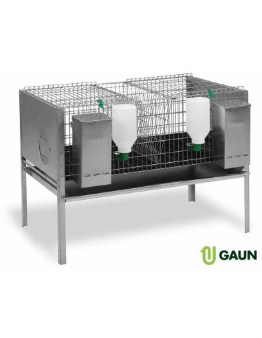 GAUN JAULA CONEJOS EUROPA 2 DEPARTAMENTOS - 2