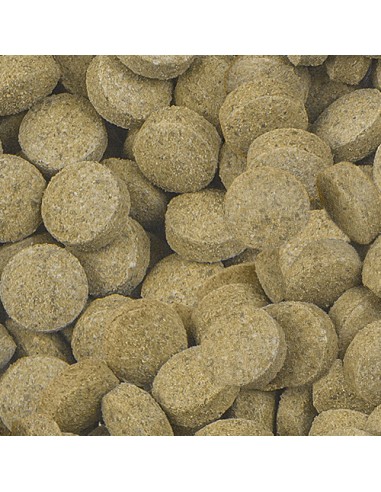 SERA VIFORMO NATURE 50 ML (33 GR) - 3