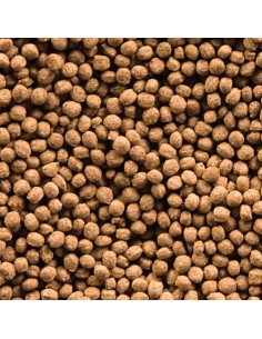 SERA GOLDY GRAN NATURE 50 ML (18 GR) - 2 2