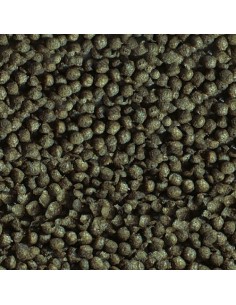 SERA GOLDY COLOR SPIRULINA 50 ML (20 GR) - 2 2