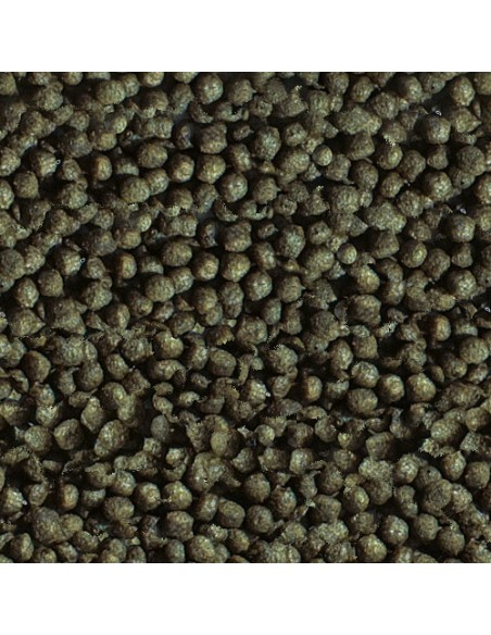 SERA GOLDY COLOR SPIRULINA 50 ML (20 GR) - 3