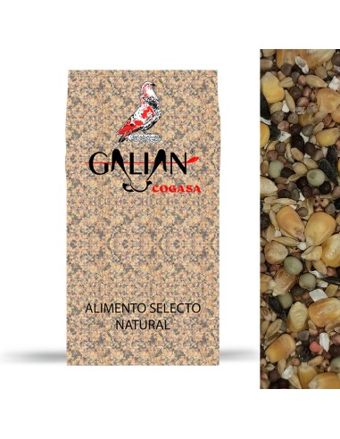 GALIAN COGASA MIXTURA MANTENIMIENTO N. 2 PALOMOS DEPORTIVOS - 20 KG 20 KG - 2