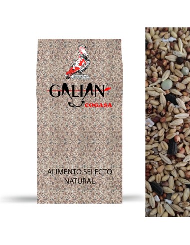 GALIAN COGASA MIXTURA MANTENIMIENTO N. 1 PALOMOS DEPORTIVOS - 20 KG 20 KG - 2