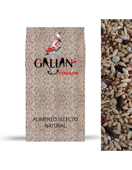 GALIAN COGASA MIXTURA MANTENIMIENTO N. 1 PALOMOS DEPORTIVOS - 20 KG 20 KG - 2