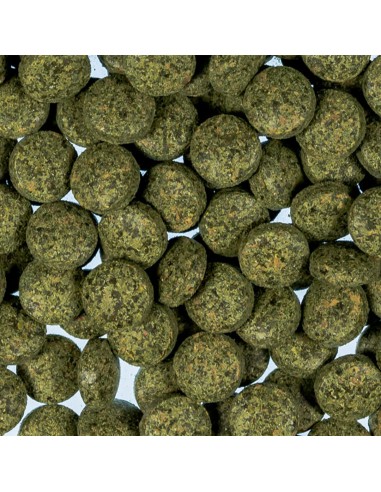 ACUALIAN ESPIRULINA EN TABLETA PARA PECES - 250 ML 250 ML - 3