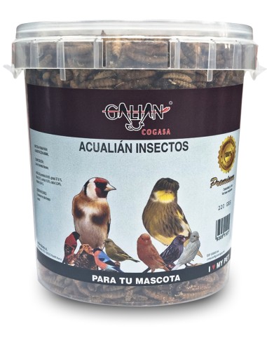 ACUALIAN INSECTOS LARVA DE MOSCA SOLDADO NEGRA 70 GR 220 GR - 2