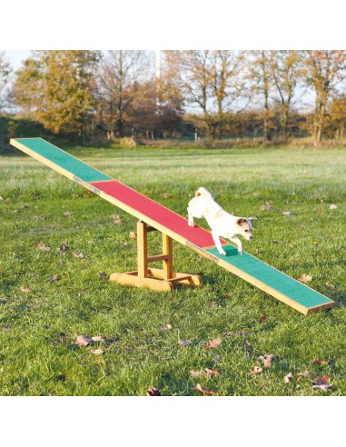 TRIXIE BALANCÍN AGILITY 300 X 54 X 34 CM - 2