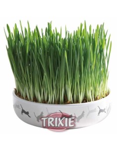 TRIXIE BOL CERÁMIC DE SEMILLAS GATOS Ø15 X 4 CM (50 GR DE SEMILLA) - 2
