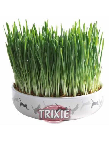 TRIXIE BOL CERÁMIC DE SEMILLAS GATOS Ø15 X 4 CM (50 GR DE SEMILLA) - 2