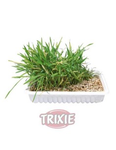 TRIXIE HIERBA GATOS CON BANDEJA - 100 GR 100 GR - 2