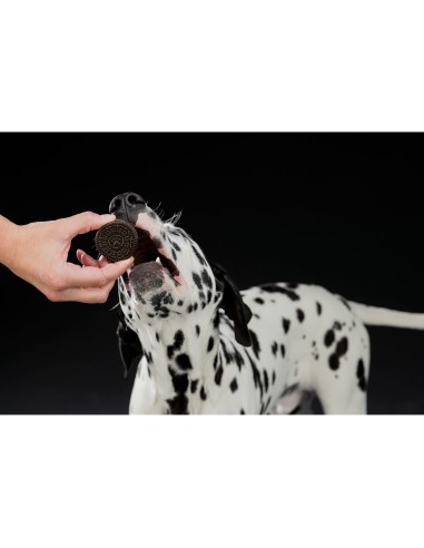 TRIXIE GALLETAS BLANCO Y NEGRO - Ø4 CM (4 GALLETAS) - 7