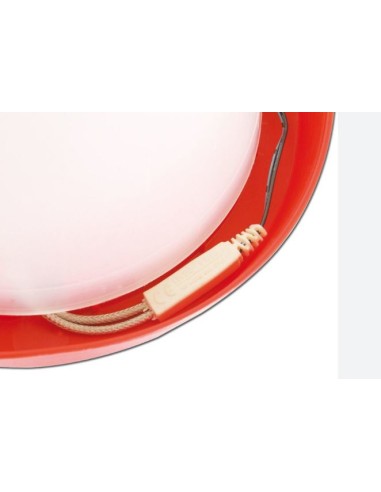 GAUN CABLE CALENTADOR BEBEDERO - 12V - 2