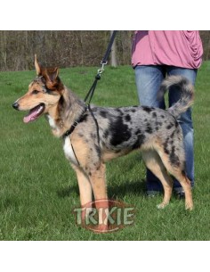 TRIXIE ARNÉS ENTRENAMIENTO EASY WALK BASIC NEGRO NEGRO NEGRO NEGRO S (27-36 CM / 20 MM) M (33-47 CM / 25 MM) L (45-65 CM / - 2