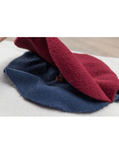 TRIXIE ALFOMBRA PARA OLFATEAR DOG ACTIVITY - 70 X 70CM 70 X 70 CM - 11