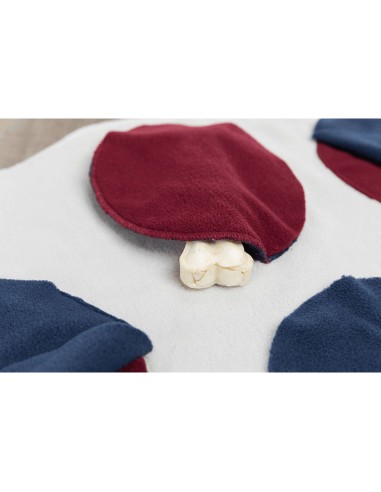 TRIXIE ALFOMBRA PARA OLFATEAR DOG ACTIVITY - 70 X 70CM 70 X 70 CM - 12