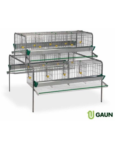 GAUN BATERÍA PONEDORAS - 16 DEPARTAMENTOS