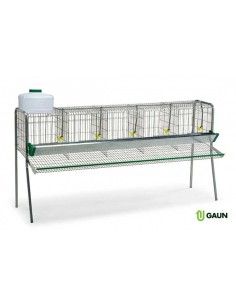 GAUN BATERÍA PONEDORAS - 5 DEPARTAMENTOS