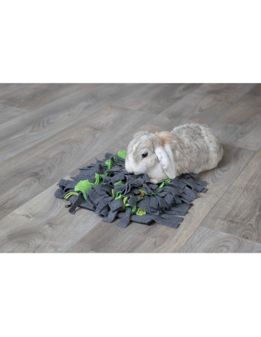 TRIXIE ALFOMBRA PARA OLFATEAR - 27 X 20 CM 27 X 20 CM - 10