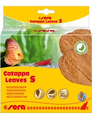 SERA CATAPPA LEAVES - 10 UNIDADES S (10 - 15 CM) - 2
