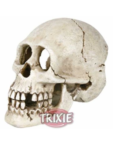 TRIXIE CRÁNEO - 15 CM 15 CM - 2