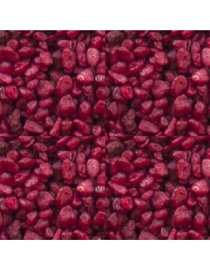 AKVASTABIL GRAVA ACUARIOS LIBRA ROJA (3-5 MM) 1 KG - 2