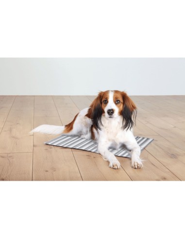 TRIXIE ALFOMBRILLA REFRESCANTE A RAYAS 65 X 50 CM 50 X 40 CM - 6